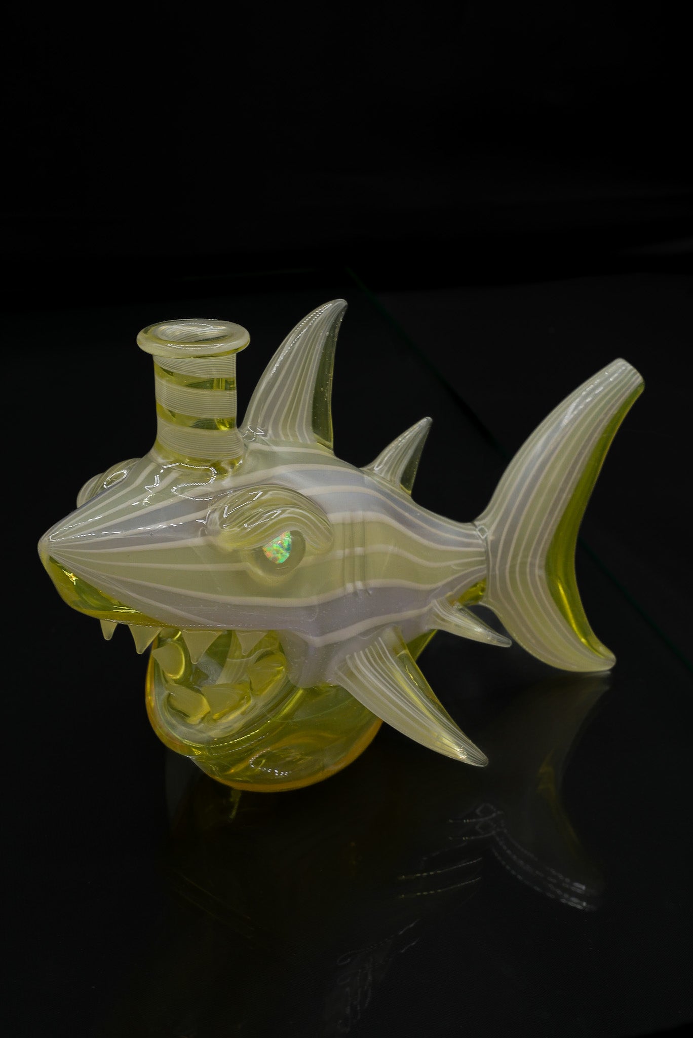 Niko Cray Serum Shark