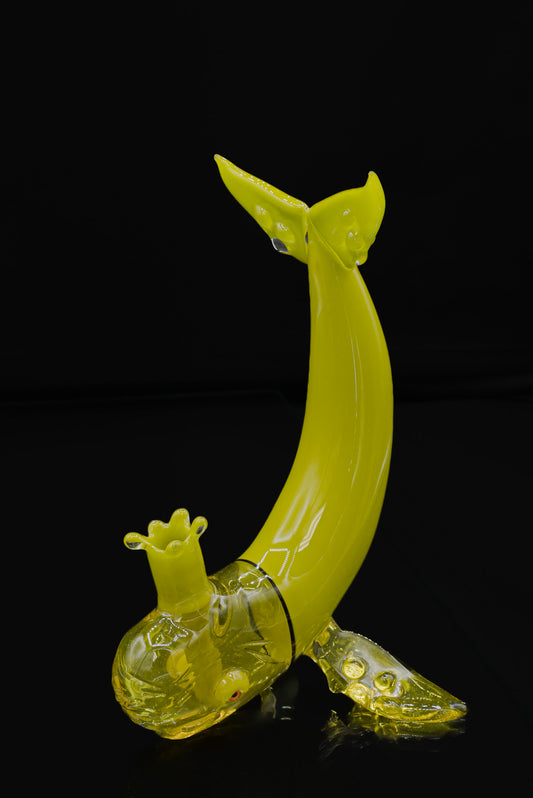 Chadd Lacey King Whale