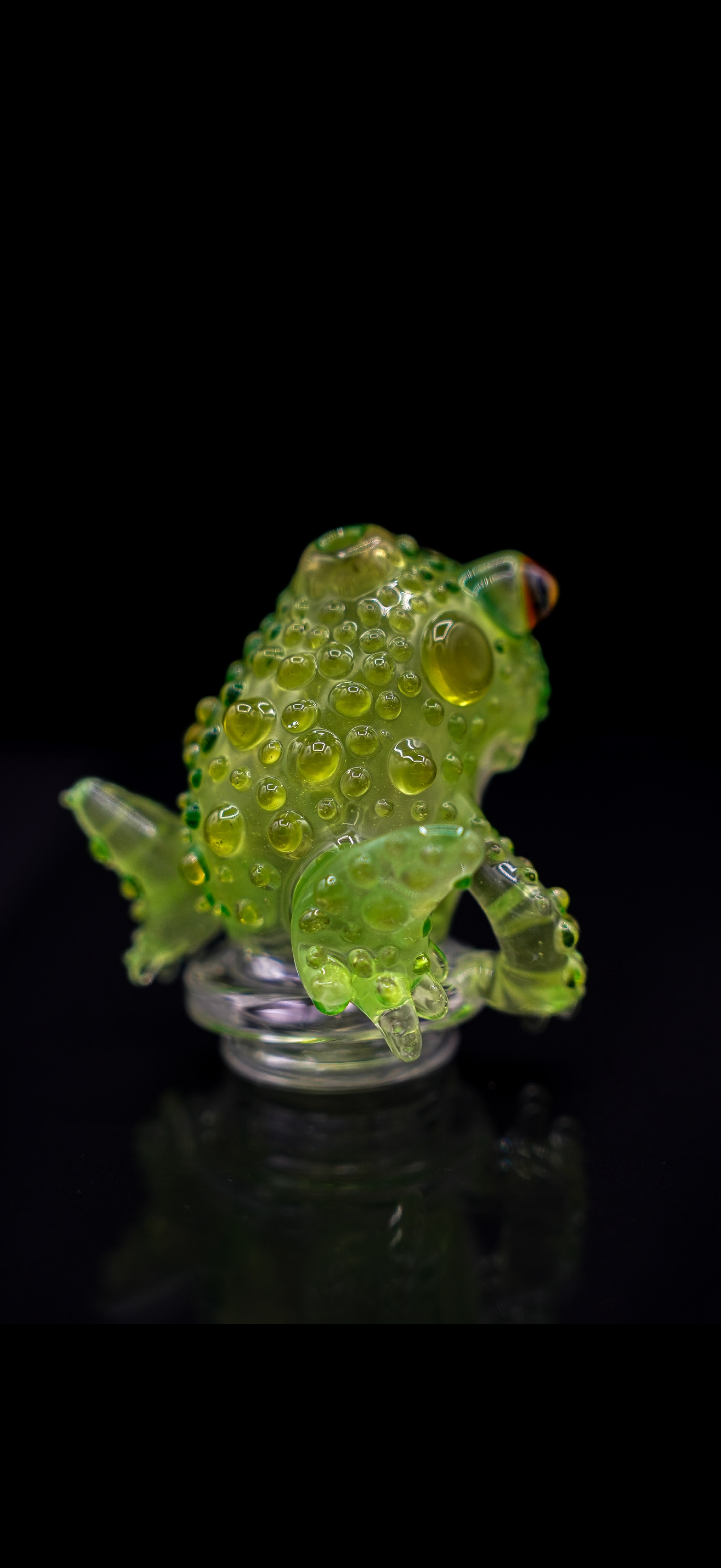 Robertson UV-Frog