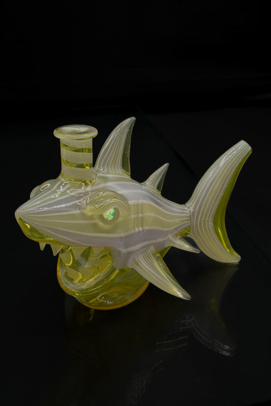 Niko Cray Serum Shark