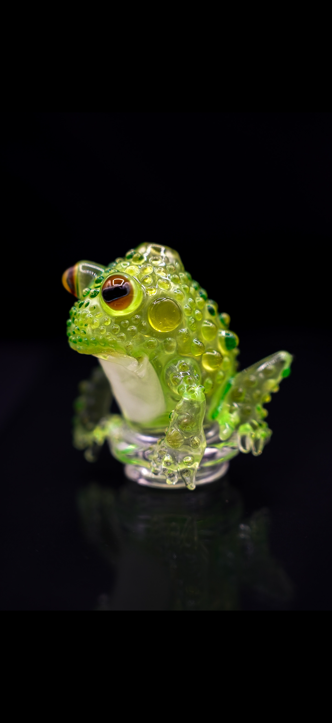 Robertson UV-Frog