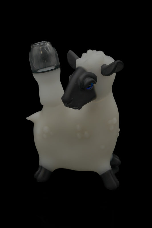 Rob Morrison Sheep