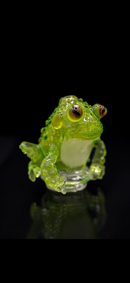 Robertson UV-Frog